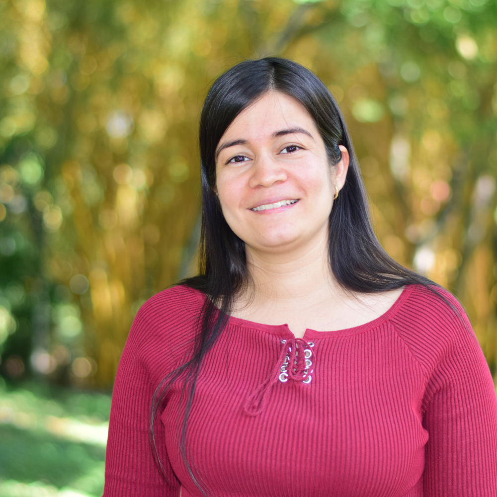 Viviana Andrea Almeida Osorio Viviana Andrea Almeida Osorio