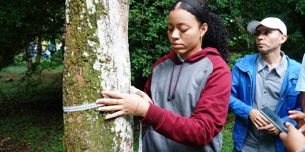 Diplomado en Educación y gestión ambiental