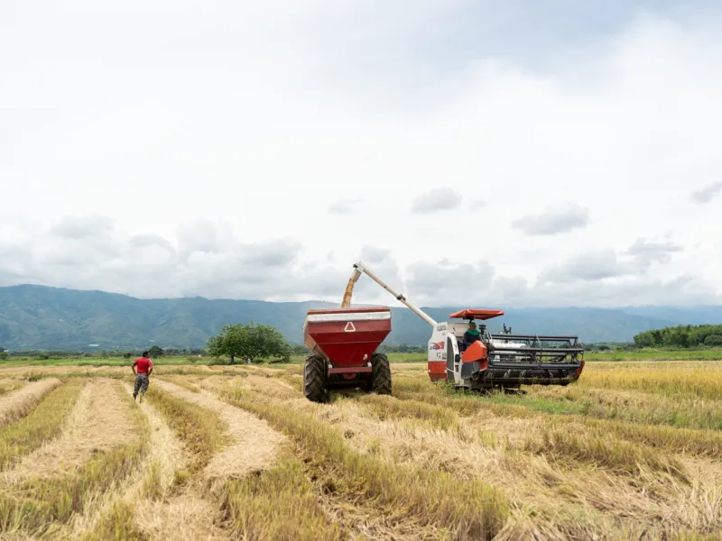 fortalecer las economías propias